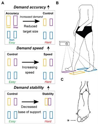 Accuracy-speed-stability trade-offs in a targeted stepping task are similar in young and older adults